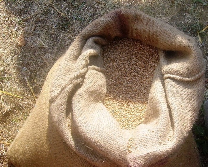 A Sassello la Festa del Grano: tre giorni all'insegna delle tradizioni