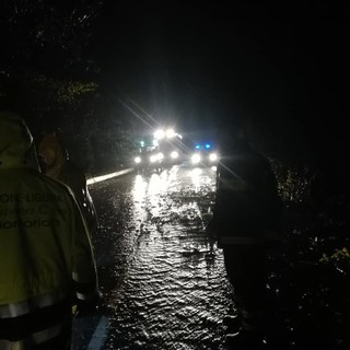 Nella foto, la frana lungo la Sp 11 in località Costa a Plodio