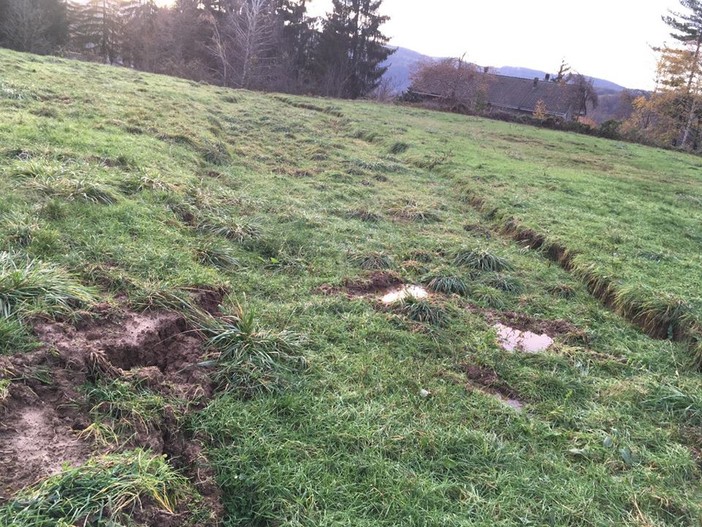 Cengio, frana in località Rocchetta: il comune chiede l'intervento di un geologo della Regione