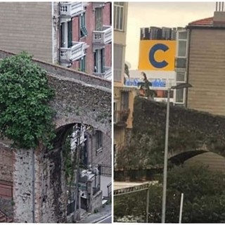 Savona, albero rischia di creare danni al ponte di via Ottaviano: rimosso dal comune (FOTO)