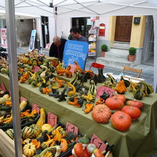 Albenga: domani e domenica edizione speciale del “Mercatino dei Sapori e delle Tradizioni”