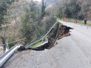 Savona, voragine sulla Sp12 del Santuario: franata parte della carreggiata (FOTO)