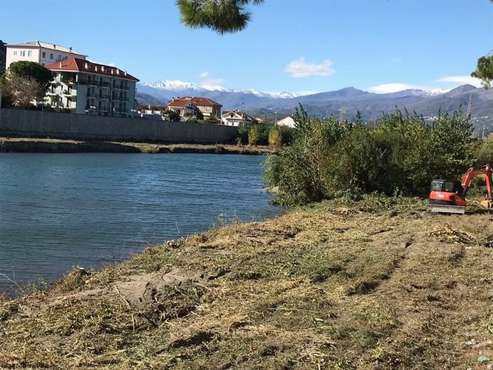 Tronchi nel fiume Centa incastrati sotto i ponti: il sindaco di Albenga emana ordinanza nei confronti di Anas