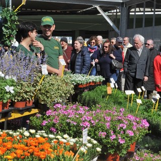 Altare: torna l'appuntamento con l'antica fiera di Primavera