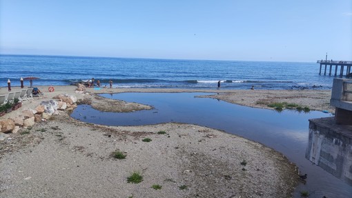 Pietra, l'allarme di Goletta Verde: &quot;Il mare alla foce del torrente Maremola è fortemente inquinato&quot;