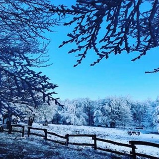 Arriva la neve sull'Appennino ligure anche a bassa quota (FOTO)