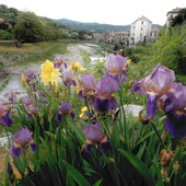 Millesimo, un'area abbandonata diventa un giardino colorato grazie al pollice verde di Patrizia