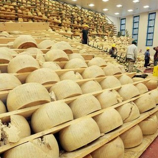 Forme di Parmigiano danneggiate dal sisma. Foto Ansa