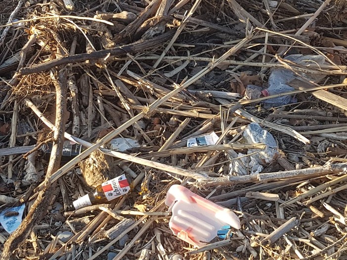 Vetri sulla spiaggia ad Albenga: ferito un cagnolino. Attenzione ai bambini (FOTO)