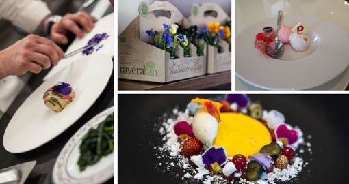 Alassio, i fiori eduli di RaveraBio protagonisti al Festival Nazionale Cucina con i fiori (FOTO e VIDEO)