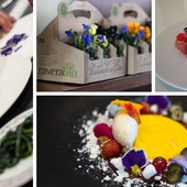 Alassio, i fiori eduli di RaveraBio protagonisti al Festival Nazionale Cucina con i fiori (FOTO e VIDEO)