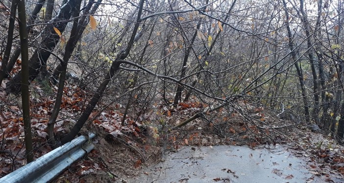 Giusvalla, frana lungo la strada comunale Colla-Rapetti (FOTO)