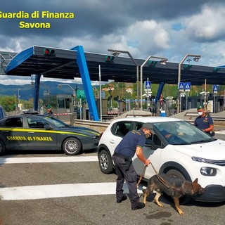 Spaccio di droga nei luoghi della movida savonese: giro di vite della Guardia di Finanza