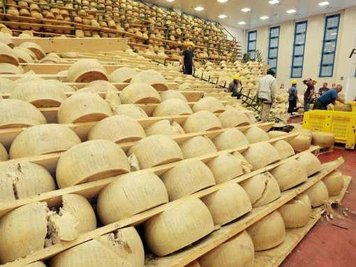 Forme di Parmigiano danneggiate dal sisma. Foto Ansa