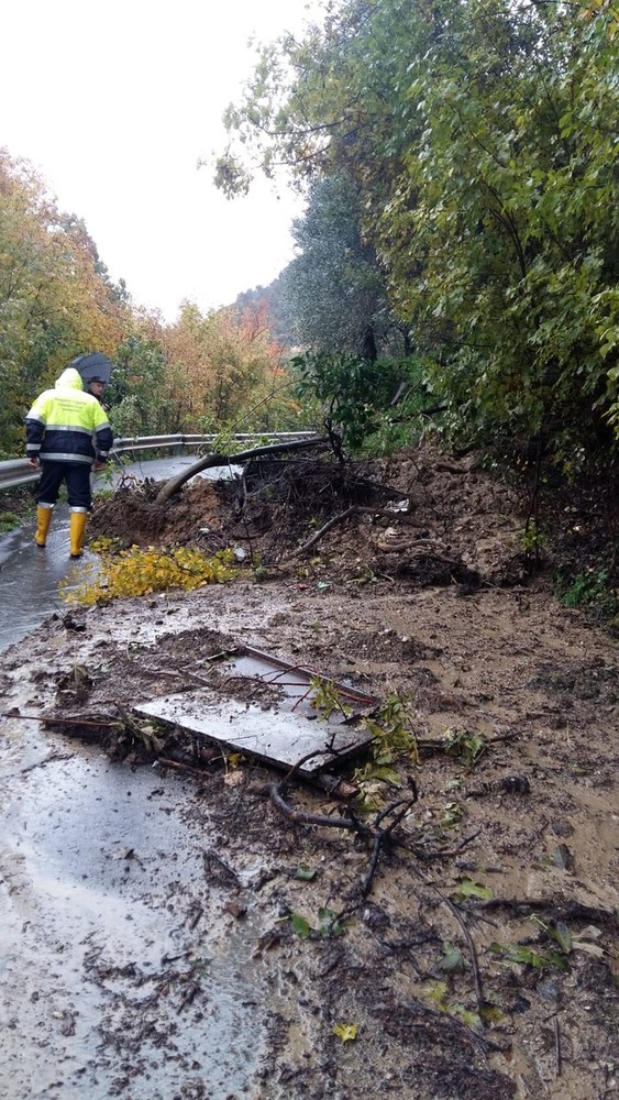 Giustenice: isolata per frana la frazione di Foresto. Destano meno preoccupazione il Maremola e lo Scaricio