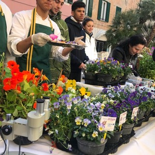 Alassio e l’associazione Assoristobar festeggiano l’equinozio di primavera con i sapori di Liguria abbinati ai fiori eduli del progetto Antea