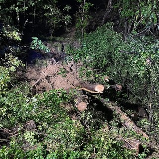 Celle, frana con alberi caduti lungo la Sp 37: strada chiusa