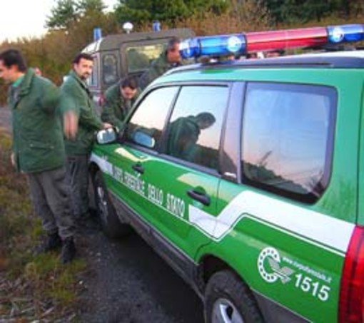 Comando Forestale provinciale: &quot;Di origine colposa gli incendi degli ultimi giorni&quot;