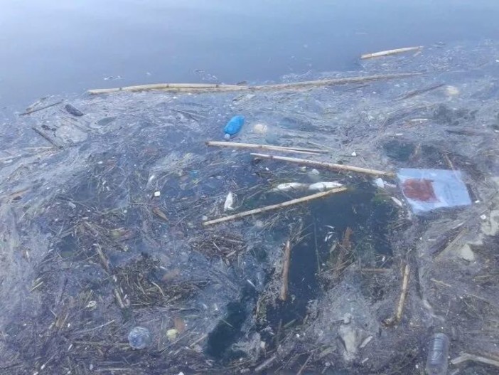 La Goletta Verde in Liguria, molte criticità alle foci dei fiumi: fortemente inquinate  a Ceriale e Pietra Ligure