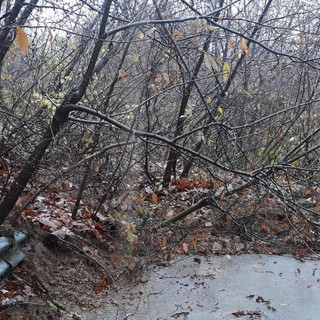 Giusvalla, frana lungo la strada comunale Colla-Rapetti (FOTO)