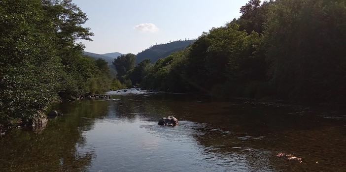 Fiume Bormida, da paradiso dei pescatori a enigma ecologico: l'incognita ittica