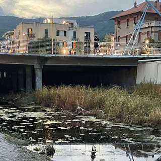 Ratti nelle strade e anche nei condomini, a Spotorno preoccupa la situazione igienico sanitaria intorno al Coreallo