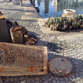 Massa di rifiuti ritrovati nei fondali della darsena savonese: pneumatici, water e bottiglie convivono con le bellezze della fauna marina