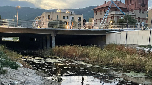 Ratti nelle strade e anche nei condomini, a Spotorno preoccupa la situazione igienico sanitaria intorno al Coreallo