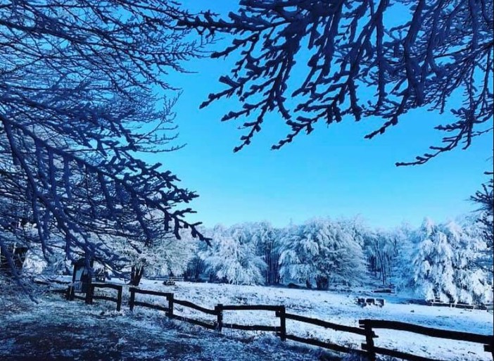 Arriva la neve sull'Appennino ligure anche a bassa quota (FOTO)