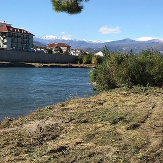 Tronchi nel fiume Centa incastrati sotto i ponti: il sindaco di Albenga emana ordinanza nei confronti di Anas