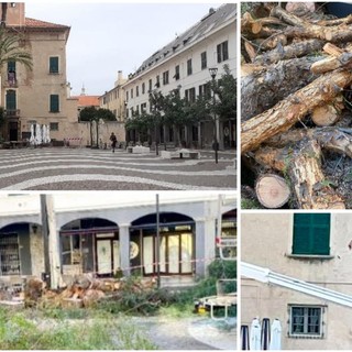 Pietra Ligure, tagliato il &quot;finto pepe&quot; in piazza Vittorio Emanuele II. Carrara: &quot;Con quale motivo? Ora la piazza è desolata&quot;