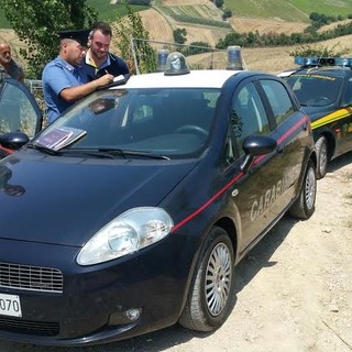 Albenga: sabato prossimo la 9° giornata di raccolta alimentare per animali