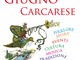 Al via le rassegne del “Giugno Carcarese”