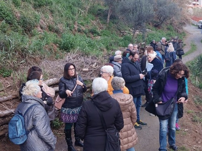 Gattile delle Albissole, si costituisce un'associazione per salvare i gatti: &quot;Cerchiamo un terreno per non disperderli&quot;