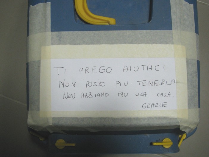 Abbandonano la gattina con un drammatico messaggio: &quot;Non abbiamo più la casa&quot;