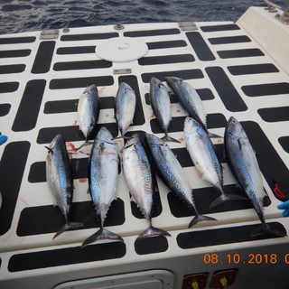 Due pescatori sportivi sanzionati dalla Guardia Costiera al largo di Varazze (FOTO)