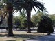 Scuole, parchi e strade: a Savona un programma da 8 milioni per riqualificare verde e spazi pubblici