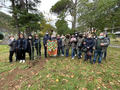 Celebrata anche a Toirano la Giornata Nazionale dell’albero (FOTO)