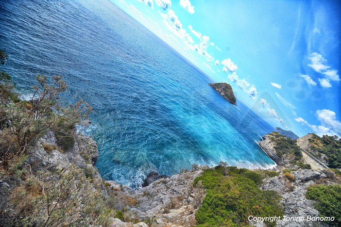 Mercoledì escursione snorkeling nell'area marina di Bergeggi