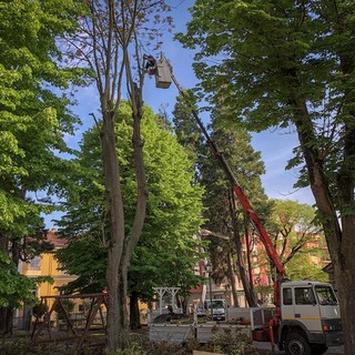 Cairo, riaprono i giardini di piazza della Vittoria