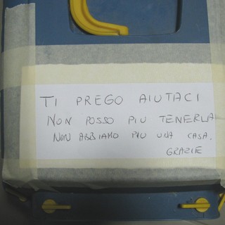 Abbandonano la gattina con un drammatico messaggio: &quot;Non abbiamo più la casa&quot;