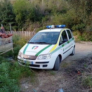 Peagna, daino soccorso dalle Guardie Zoofile