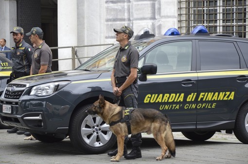 Guardia di Finanzia: sequestrate a Cornigliano sostanze stupefacenti e una serra di cannabis