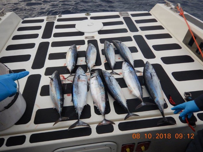 Due pescatori sportivi sanzionati dalla Guardia Costiera al largo di Varazze (FOTO)