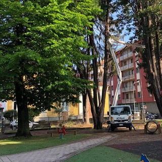 Cairo, al via la messa in sicurezza dei giardini di piazza della Vittoria (FOTO)