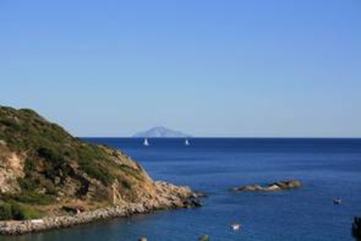 Metà dei fusti tossici non si trovano. Persi nell'isola di Gorgona