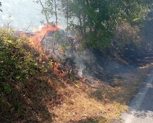 Incendio sulla Sp11 a Plodio: intervento della protezione civile e dei vigili del fuoco (FOTO)