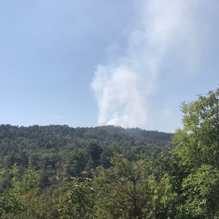 Incendio boschivo tra Spotorno e Noli