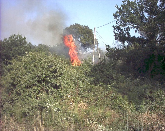 Rogo nel finalese: condannato a tre mesi per incendio colposo