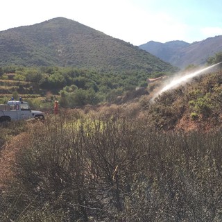 Peagna, incendio sterpaglie: intervento dei vigili del fuoco